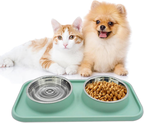 Double Dog Food Bowls Stainless Steel with No Spill Non Skid Silicone Mat Removable Dog Water and Food Bowls Set Durable Feeding Bowls for Small D...
