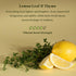 Enviroscent Non-Toxic Air Freshener Refills (Lemon Leaf & Thyme) Plug-in Air Freshener for Home | Essential Oil Plug In Refills | Home Fragrance L...