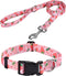 Dog Collar and Leash Set, Adjustable for Small Medium Large Dogs Puppy, Cute Design with Bohemia Floral Tribal Geometric Patterns Boys Girls Dog C...