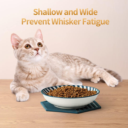 4Pack Ceramic Cat Dishes with Nonslip Mats, 5.5 Inch Shallow Cat Food Bowls, Whisker Fatigue Cat Bowl, Cat Dishes for Food&Kitten Bowls, Microwave...
