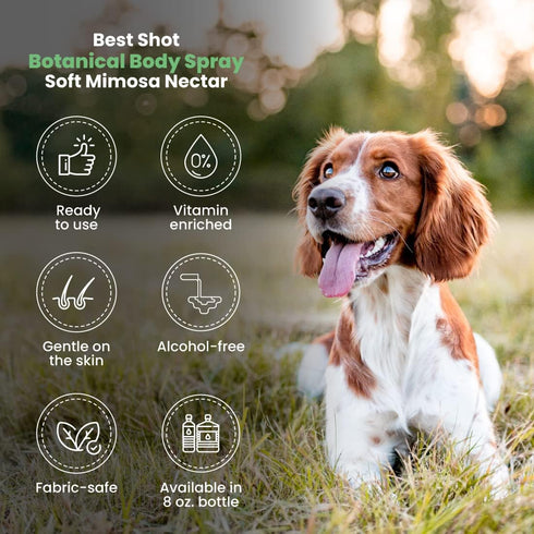 Best Shot Scentament Spa Botanical Body Splash, Body Spray Conditioner for Pets, Cat and Dog Cologne Spray, Soft Mimosa Nectar, 8 Oz....