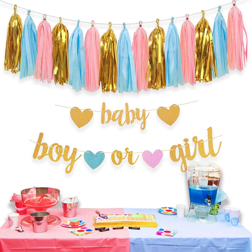 Baby Gender Reveal Decorations - Glitter Letters Baby and Boy or Girl with Hearts Banner, Tissue Paper Tassels Garland Set for Gender Reveal Party...