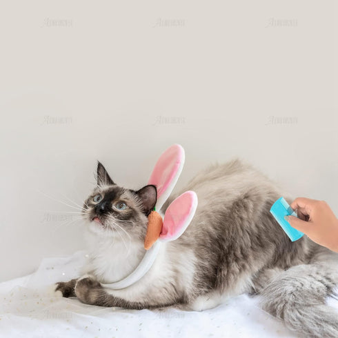 AUEAR, 12 Pack Pet Flea Lice Combs Double Sided Fine Tooth Dogs Cats Grooming Combs Remove Float Hair Tear Marks Tick Removal Tool (6 Colors)...