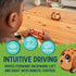 Poko Petz, Remote Control Car for Toddlers Dog Toys - 2.4GH for Boys and Girls, Light Up Toddler Toys, Singing, Talking Toys, Preschool Toys, Best...