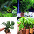 20 Pcs Aquatic Water Plant Fixed Rings, Aquarium Landscape Ceramic Pottery Plant Pot Gravity Ring for Fish Tank Accessories...