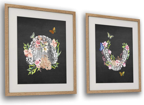 GnosisCollageArt Dental Art Human Teeth Anatomy Flower Butterflies Set of 2 Unframed Prints...