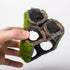 Fish Tank Decorations Aquarium Décor Resin Artificial Tree Trunk Root (C)...