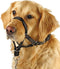BARKLESS Soft Dog Head Collar, No Pull Training Tool for Small Medium Large Dogs on Walks, Gentle Training Collar and Control for Heavy Pullers, i...