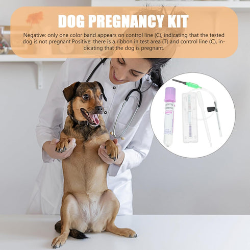 Dog Pregnancy Test Kit at Home, Fast Accurate Detection Pregnant Test Paper Strip for Dog, Cat Veterina Disposable Pet Clinic Equipment - Instruct...