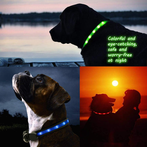 Light Up Dog Collars,Safety LED Dog Collars USB Rechargeable 7 Changing Colors Glow in The Dark Dog Walking Light,Neon Adjustable Safety Buckle Li...