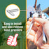 20 Pack Precision Pruner Pruning Shear Springs Stainless Steel Gardening Spring Replacement Precision Springs Pruners Compatible with Hydrofarm fo...