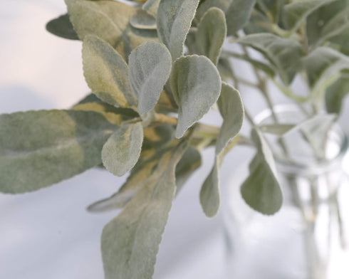 SUUKI Faux Lambs Ear Stems 5Pcs Flocked Artificial Greenery Solid Spray Fake Rabbit Ear Leaves for Home Wedding DIY Craft Floral Arrangement...