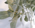 SUUKI Faux Lambs Ear Stems 5Pcs Flocked Artificial Greenery Solid Spray Fake Rabbit Ear Leaves for Home Wedding DIY Craft Floral Arrangement...