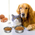 Stainless Steel Anti-Slip cat Bowls,Non-Slip Stainless Steel Pet Bowl with Foot Mat - Perfect for Mess-Free Mealtime,Quiet Pet Bowls for Cats and ...