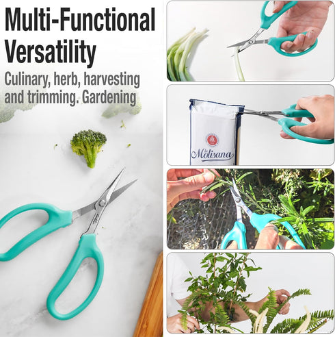Beaditive Culinary Herb Scissors - Compact 6.5-Inch Stainless Steel Kitchen Scissors - Dishwasher Safe - Sharp Tip for Snipping Fresh Herbs...