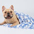 1 Pack 3 Blankets Super Soft Fluffy Premium Cute Elephant Pattern Pet Blanket Flannel Throw for Dog Puppy Cat Blue/Pink/Yellow Small(23x16 inch)...
