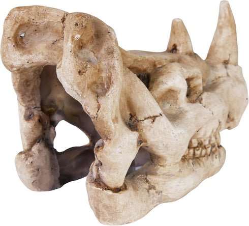 Penn-Plax Rhino Skull Aquarium Decoration - Aged Dinosaur Skeleton Décor – for Fish Tanks (RR1067)...