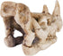 Penn-Plax Rhino Skull Aquarium Decoration - Aged Dinosaur Skeleton Décor – for Fish Tanks (RR1067)...