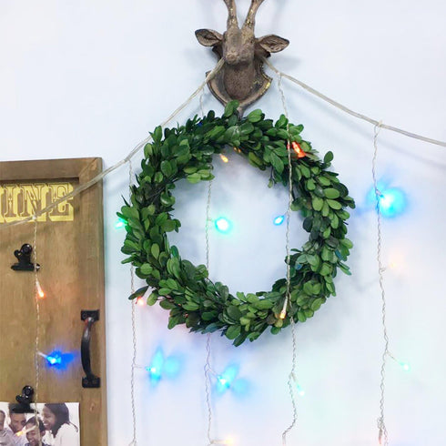 Preserved Garden Boxwood Round Wreath 10" By COCOMIA...