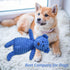 5Pack Dog Squeaky Plush Toys Puppy Toys Assortment Value Bundle Dog Toy for Puppies Bulk Large Dog Teething Toys Pet Chew Toys...