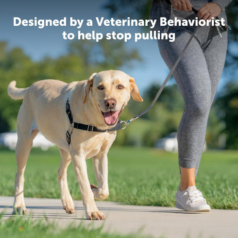 PetSafe Easy Walk No-Pull Dog Harness - The Ultimate Harness to Help Stop Pulling - Take Control & Teach Better Leash Manners - Prevent Pets Pulli...