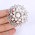 EVER FAITH Women's Wedding Corsage Clear Crystal Simulated Pearl Elegant Flower Leaf Brooch for Women, Bride...