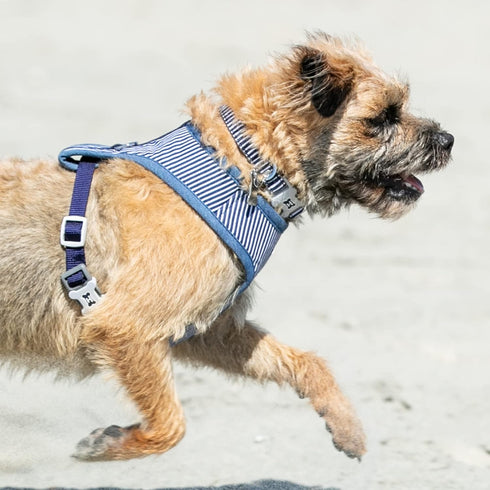 HUGO & HUDSON Dog Collar, Adjustable Nylon Pet Collar with Safety Buckle, Navy Striped, L...