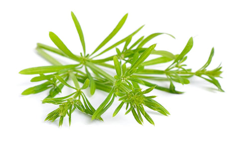 Cleaver herb - Galium aparine Dried Leaf C/S from 100% Nature (4 oz)...