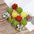 Succulent Cactus Tea Light Candles Cute Plant Shaped Bulk for Birthday Party Wedding Baby Bridal Shower Favor Decor Hostess Gift Sets (12 PCS)...