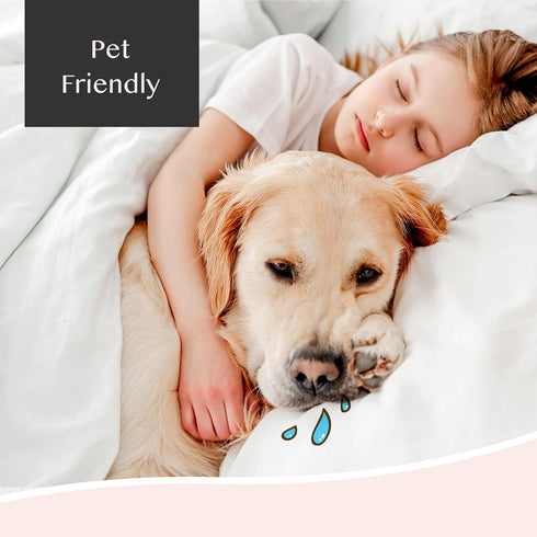 Zippered Waterproof Pillow Protectors, 2 Pack Standard, Soft Comfortable Sateen 100% Long-Staple Cotton, Quiet and Breathable Pillowcase, 20x26...