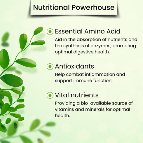 Moringa Leaf Powder - Freeze Dried & True Green 100% Pure Moringa Leaves Powder - Single Origin Organic Moringa Oleifera Leaf with Essential Amino...