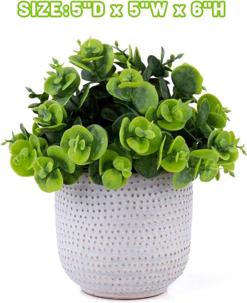 Artificial Lysimachia Plants in Ceramic Planter Cute Fake Succulent Flowers Potted for Home Office Table Desk Decor Living Room Bathroom Bedroom S...