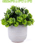 Artificial Lysimachia Plants in Ceramic Planter Cute Fake Succulent Flowers Potted for Home Office Table Desk Decor Living Room Bathroom Bedroom S...