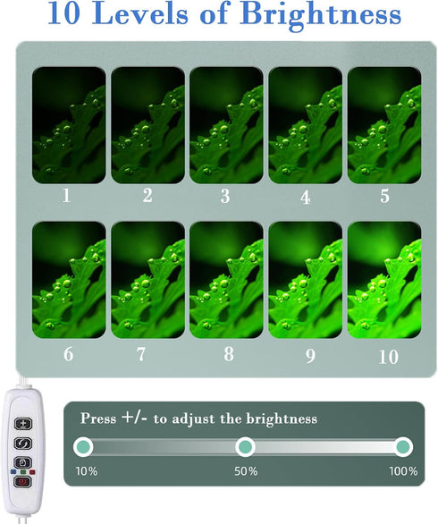 Upgraded Aquarium Light with Timer Clip On Fish Tank LED Light Small USB Light Dimmer Multi-Color White+Warm Yellow+Yellow 1 to 5 Gal (Adapter NOT...