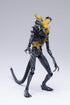Hiya Toys Exquisite Mini Series 1/18 Scale 5 Inch Aliens Headshot Alien Warrior Action Figure...