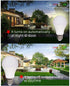 Dusk to Dawn LED Outdoor Light Bulb 7W Daylight White Auto on/Off Photocell Sensor A19 LED Light Bulb 60 Watt Equivalent, 3-Pack...