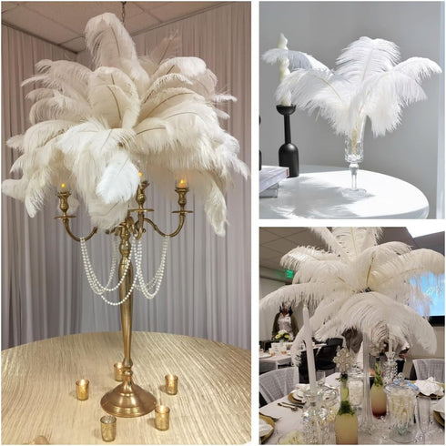 Shekyeon White 16-18inch 40-45cm Ostrich Feather DIY Craft Feather Pack of 10...