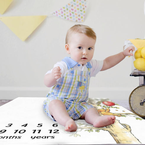 The Pooh Bear and Honey Baby Monthly Milestone Blanket, Gift Stuff for Newborn Baby Boy & Girl Photo Taken - Baby Age Blanket with 2 Frame...
