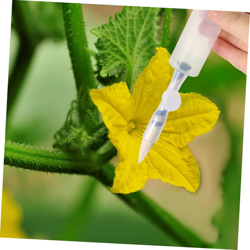 GANAZONO Vegetable pollinator Plant Brush Garden Planting Tool Indoor Strawberries pollinator Succulent Cleaning Brush Outdoor Plant pollinator Pl...