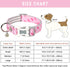 ARING PET Valentine's Day Dog Collar-Cute Pink Heart Dog Collar, Adjustable Pet Collars Puppy Collar with Quick Release Buckle for Small Medium La...