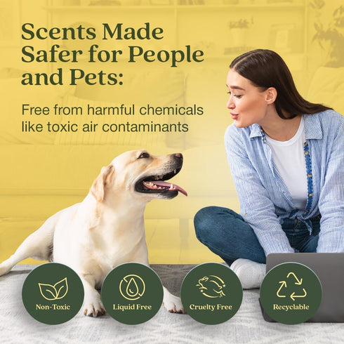 Enviroscent Non Toxic Air Freshener (Lemon Leaf & Thyme) Plug-in Air Freshener for Home | Essential Oil Plug In | Home Fragrance Last 45+ Days | 1...