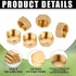 6 Pcs Brass Blanking Nut Cap, 3/4" Female Blanking Stop Cap with Washers, Plumbing Fittings for Washing Machine Radiator Valve Faucets Tap(3/4 inc...
