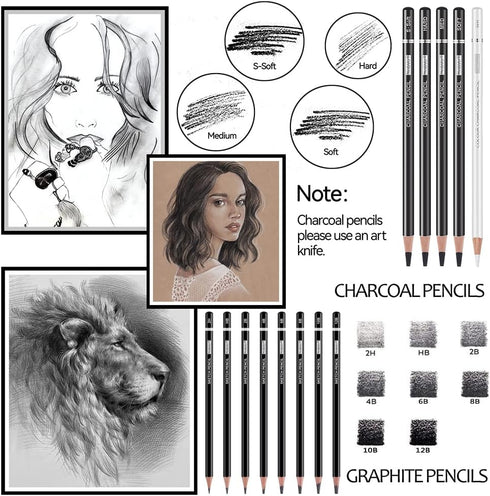 PANDAFLY Drawing Sketching Pencil Set, 22 Piece Pro Art Pencil Kit - Graphite Pencils (12B-2H), Black and White Charcoal Pencils, Charcoal Sticks,...