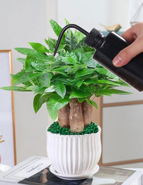 2Pcs Tattoo Wash Bottle 250ml | 8oz Squirt Succulent Watering Safety Rinse Bottle Watering Tools for Medical Cleaning Washing Bottle Black...