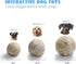 Nocciola Wobble Giggle Ball for Dogs, Interactive Dog Toys for Boredom, Squeaky Ball Dog Toys to Keep Them Busy, Pet Toys for Small Medium Large D...