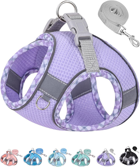 Petank Dog Harness for Small Medium Dogs No Pull, Puppy Harness and Leash Set, Easy Walk Dog Harness for Walking, Running, Training, Small Dog Har...