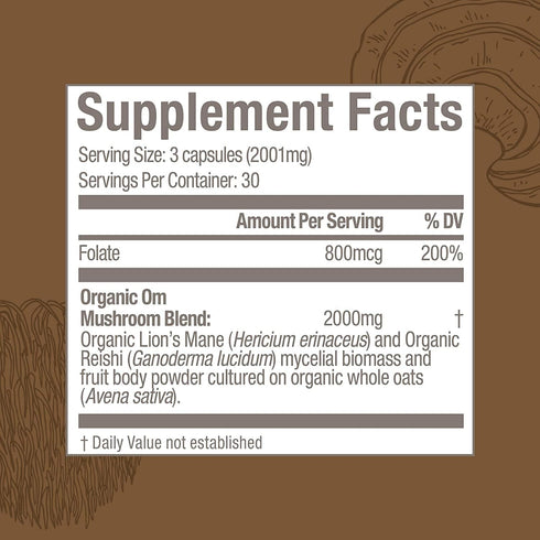 OM Mushroom Superfood Brain Fuel Mushroom Powder Capsules Superfood Supplement, 90 Count, 30 Days, Lion's Mane, Reishi Blend plus Folate, Mental C...