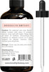 Brooklyn Botany Lavender Essential Oil - Huge 4 Fl Oz - 100% Pure and Natural - Premium Grade with Dropper - for Aromatherapy and Diffuser...