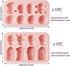 2Pcs Halloween Silicone Mold Skull Tomb Brain Fondant Molds for Halloween Party Gummy Jello Candy Chocolate Baking Cake Decoration UV Epoxy Resin ...