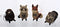 3.5 to 6-Inch Buri Woodland Animal Ornament Set, 4 Assorted Styles...